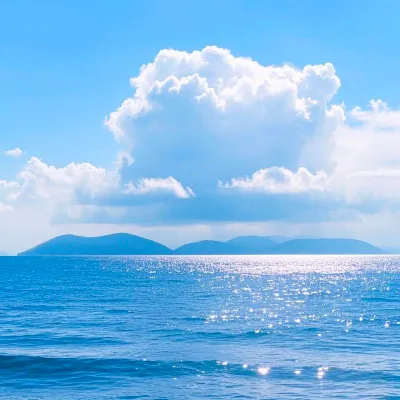 Neri Naig avatar